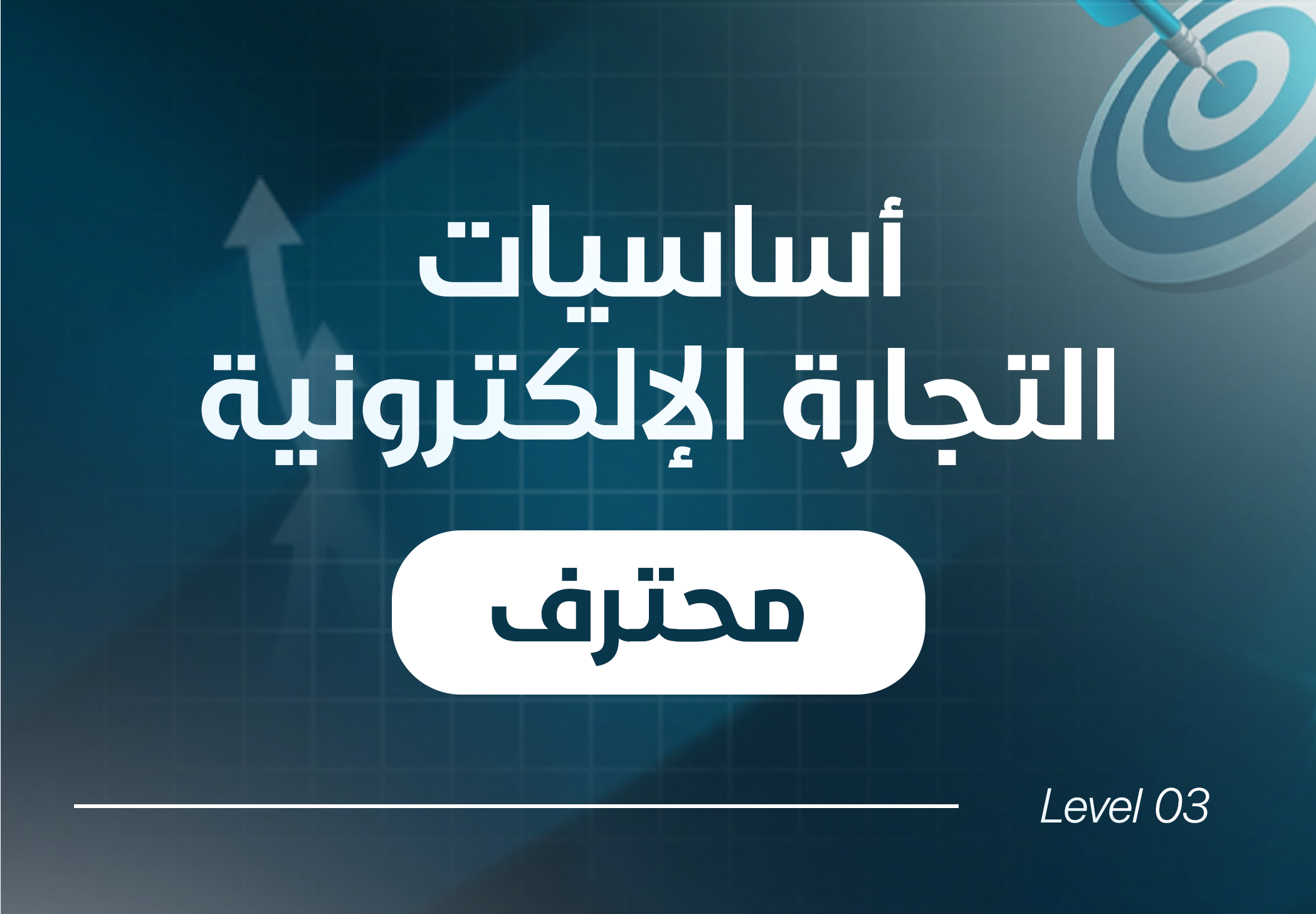 دورة التجارة الإلكترونية المتكاملة (مستوى محترف)